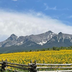 Meet your Posher, Melva